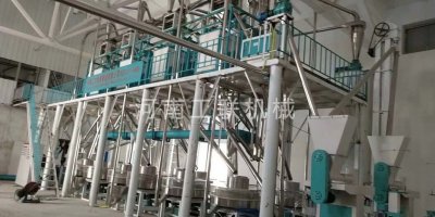 中衛(wèi)12加4石磨面粉機成套設備